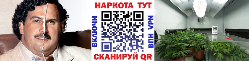 МЕФ Братск