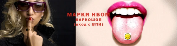 гашик Алексин
