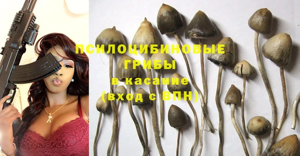 spice Алзамай