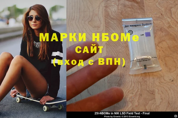 гашик Алексин