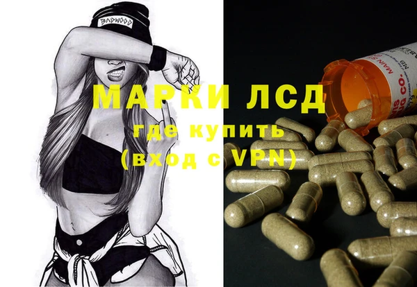 spice Алзамай