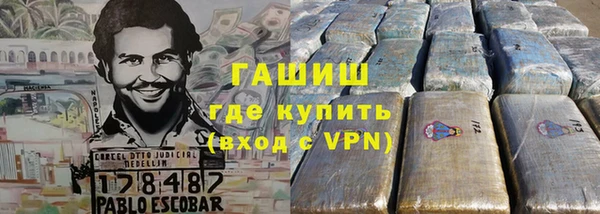 индика Каменногорск