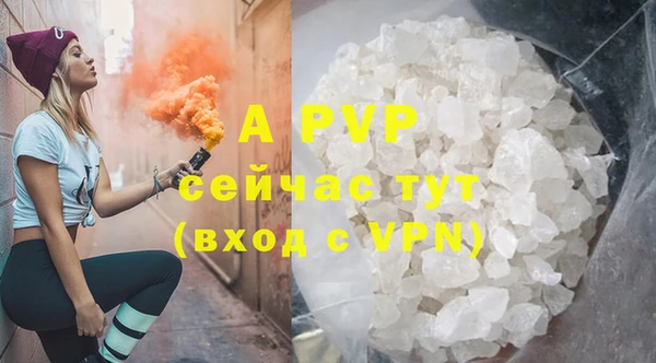 шишки Каменка