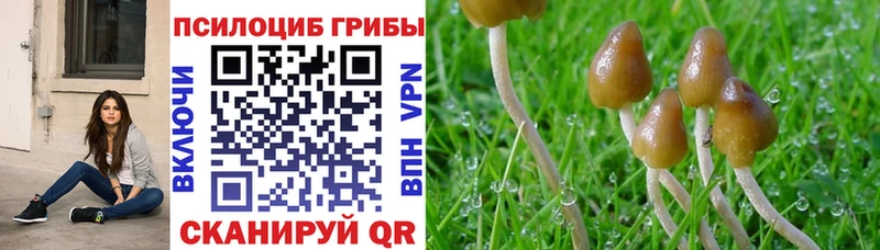 нарко площадка официальный сайт  Братск  Псилоцибиновые грибы MAGIC MUSHROOMS 