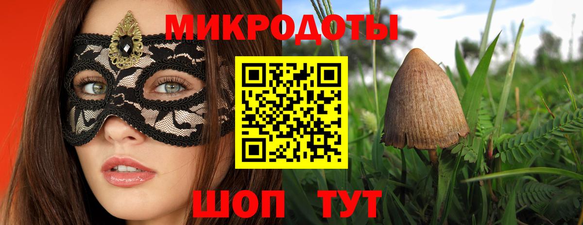 Псилоцибиновые грибы прущие грибы  Псилоцибиновые грибы мицелий  Вход с VPN  Братск 